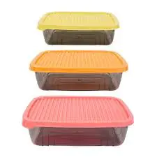 Набор контейнеров HEREVIN Rectangular Storage Bowl Set-2024 Colours 3 шт