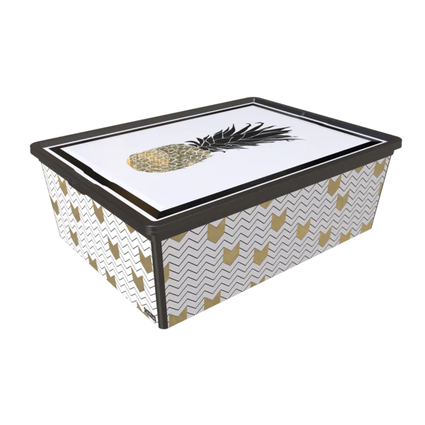 Коробка для зберігання Qutu Trend Box Pineapple Life (25л)