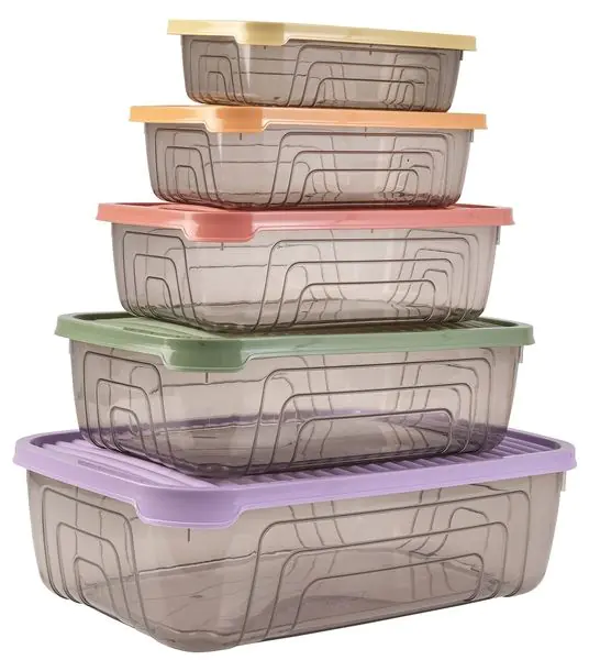 Набор контейнеров HEREVIN Rectangular Storage Bowl Set-2024 Colours 163333-150 (350мл) 5шт