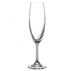 Набор бокалов для шампанского Bohemia Sylvia b4S415 (220мл) 2шт