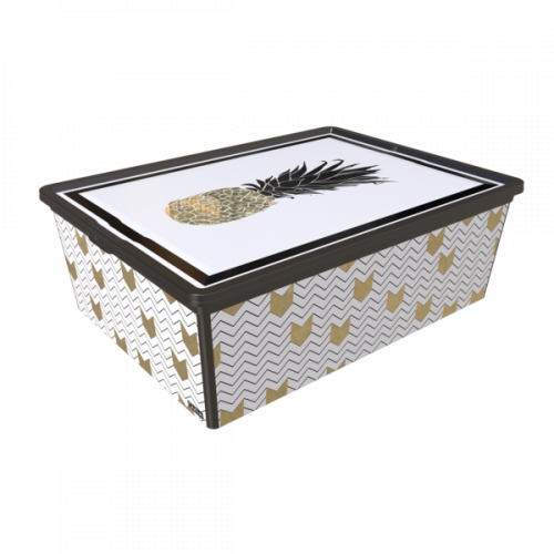 Коробка Qutu Trend Box Pineapple Life (25л)