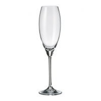 Набор бокалов для шампанского Bohemia Carduelis b1SF06 (290мл) 6шт