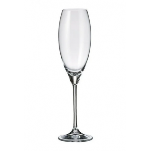 Набор бокалов для шампанского Bohemia Carduelis b1SF06 (290мл) 6шт