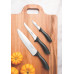 Набор кухонных ножей TRAMONTINA AFFILATA 23699/050 (3шт)